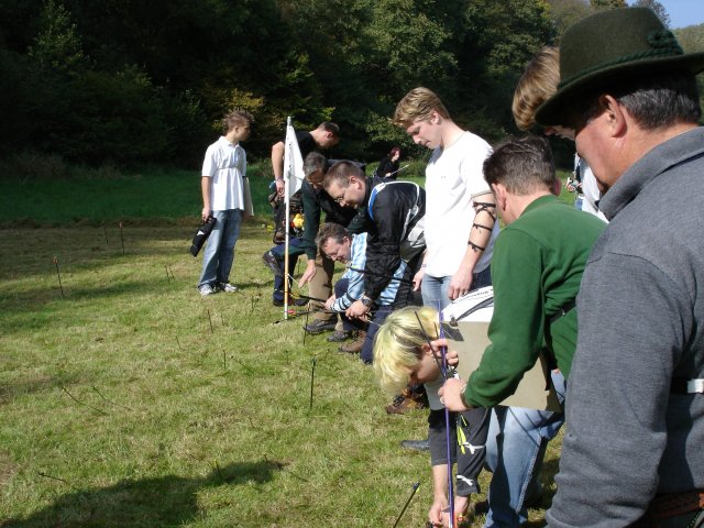 dsc02347