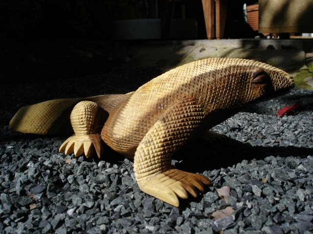 dsc02294