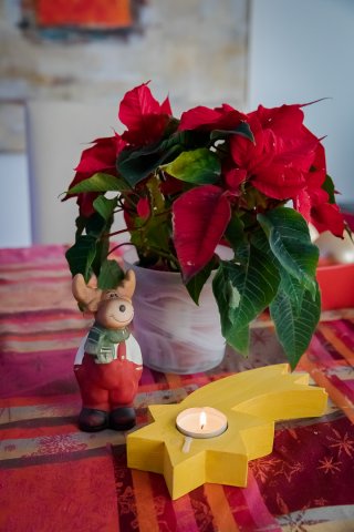 _s5a0001-2_20201220_1226150695