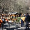 img_5987_20220404_1275995719